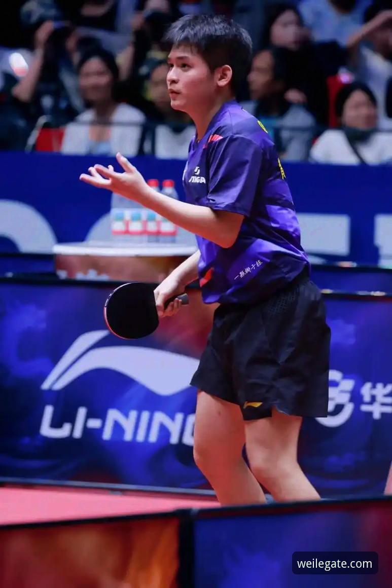 从林诗栋3-0横扫英格兰，看中国男乒如何在微乐平台展现顶级竞技状态？