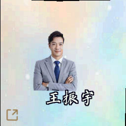 王振宇